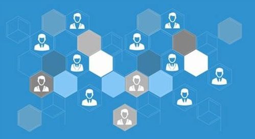 仁懷網(wǎng)絡(luò)推廣實(shí)戰(zhàn) 技術(shù)原理、核心參數(shù)與區(qū)域品牌突圍之道