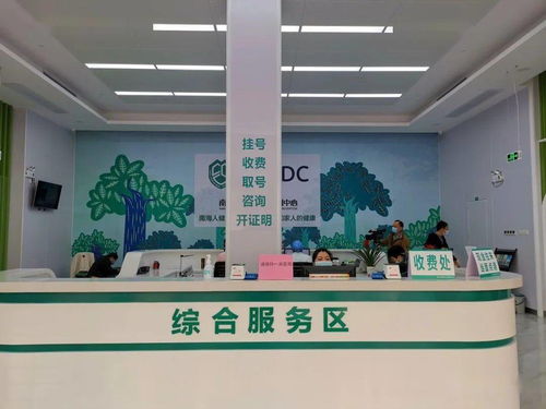 大瀝預(yù)防保健門診正式揭牌 夯實(shí)基層健康防線，推動(dòng)全鎮(zhèn)基本公共衛(wèi)生服務(wù)再上新臺(tái)階